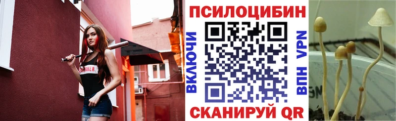 Псилоцибиновые грибы Cubensis  Купить  Апрелевка 